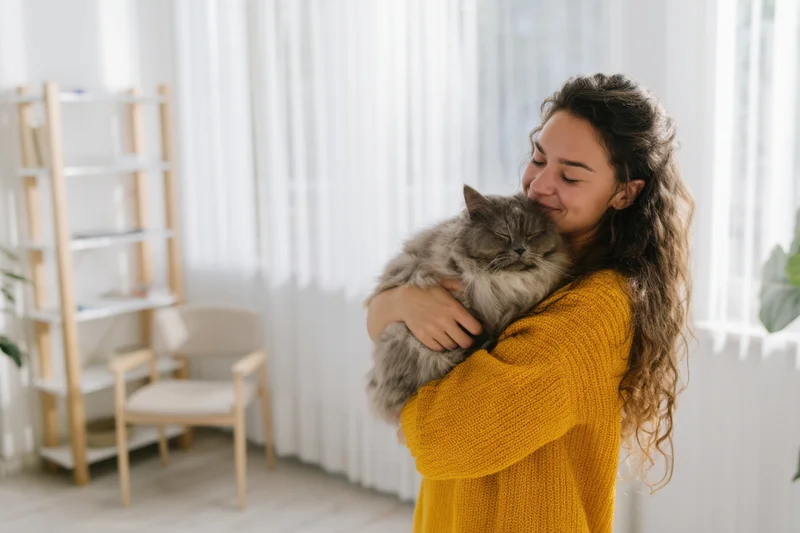 Woman hugging fluffy gray cat in living room wearing yellow sweater