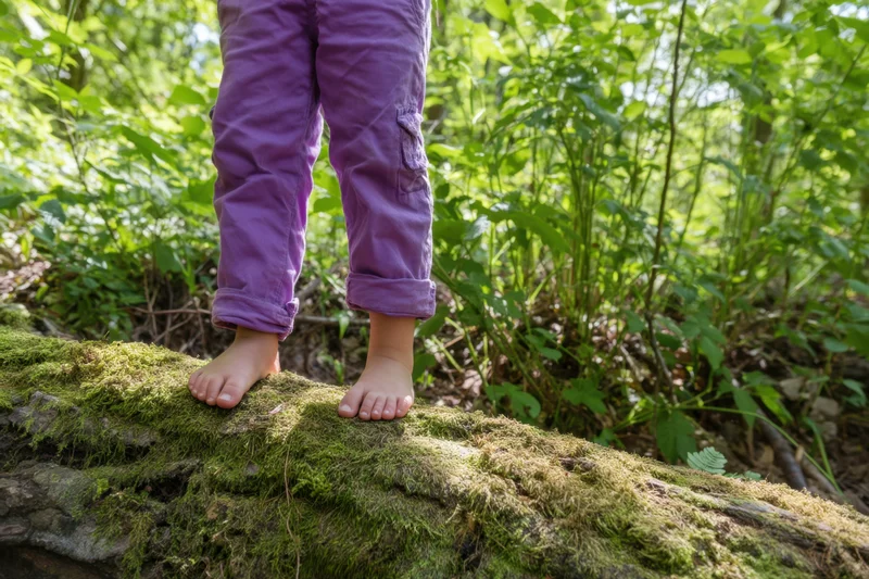 Child standing barefoot on a mossy log in a sunlit forest