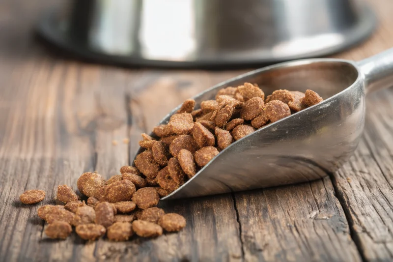 Metal scoop spilling dry dog kibble onto weathered wooden table