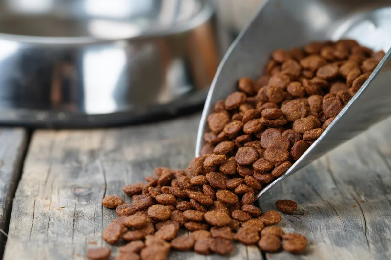 Metal scoop spilling dry dog kibble onto weathered wooden table near a stainless steel bowl