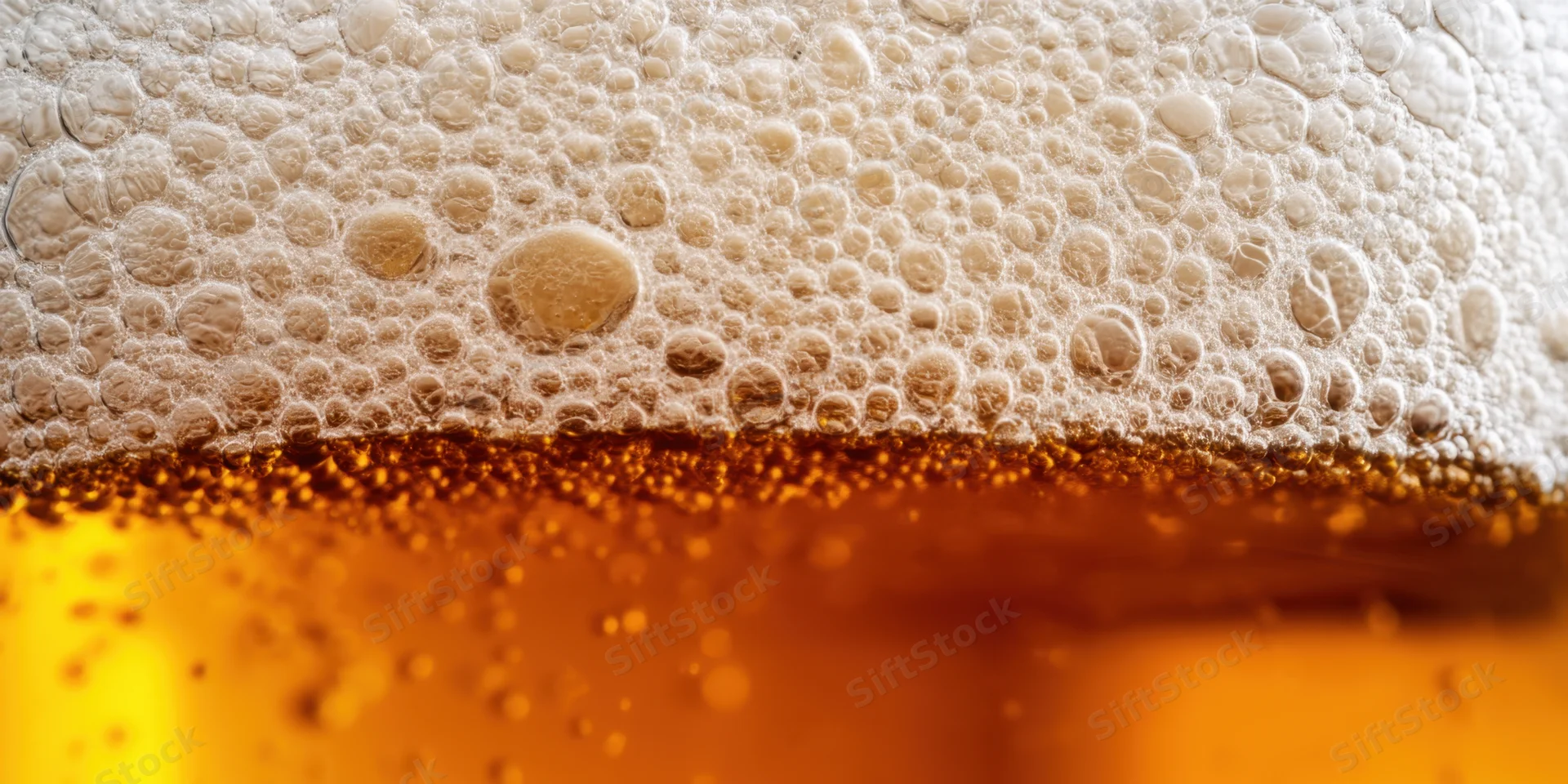 Close-up of foamy beer head over amber liquid in a glass