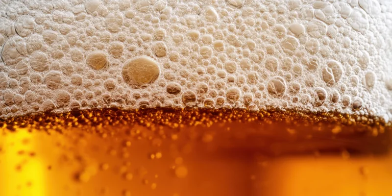 Close-up of foamy beer head over amber liquid in a glass