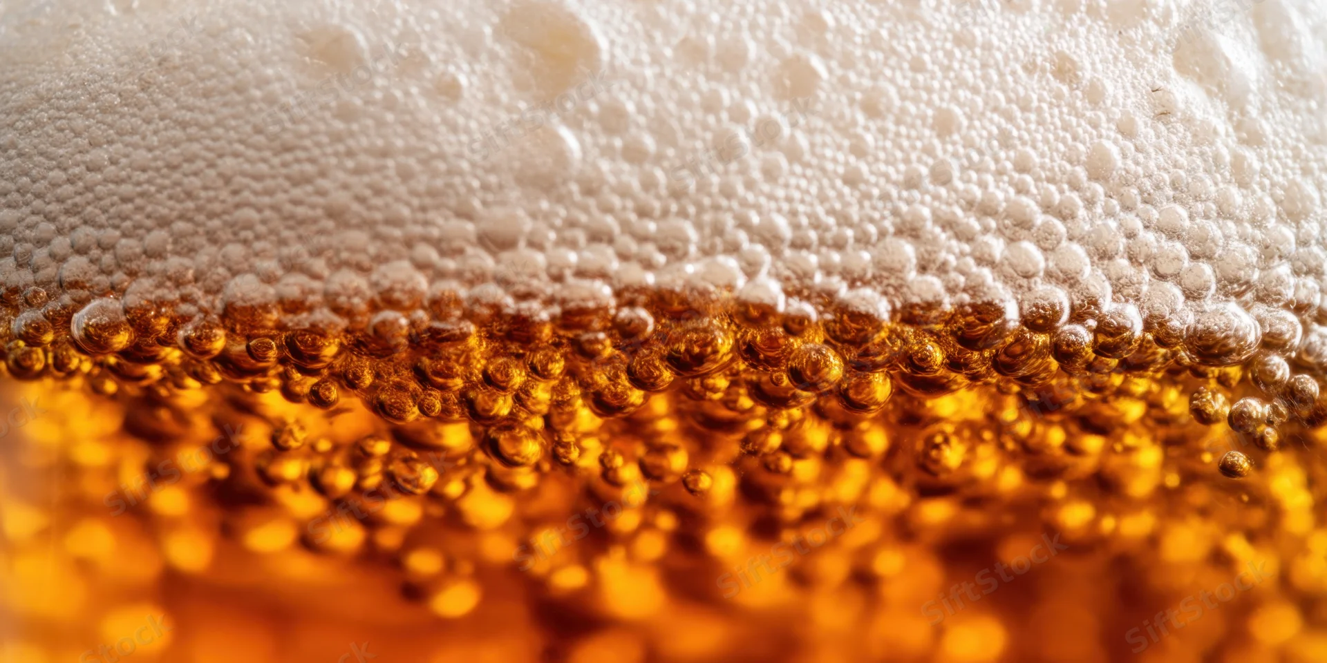 Macro close-up of foamy beer head over amber liquid with rising bubbles