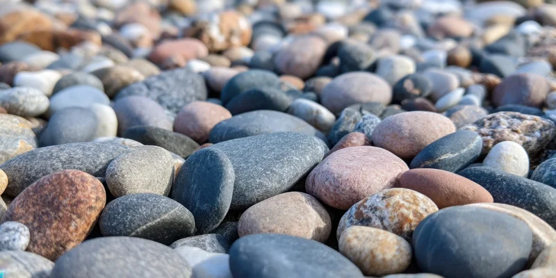 Close-up of smooth rounded pebbles scattered across a beach surface