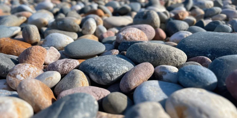 Smooth rounded pebbles scattered across a beach surface in natural light