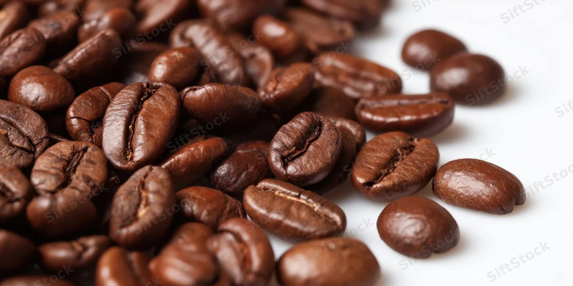 Roasted coffee beans scattered on a white background