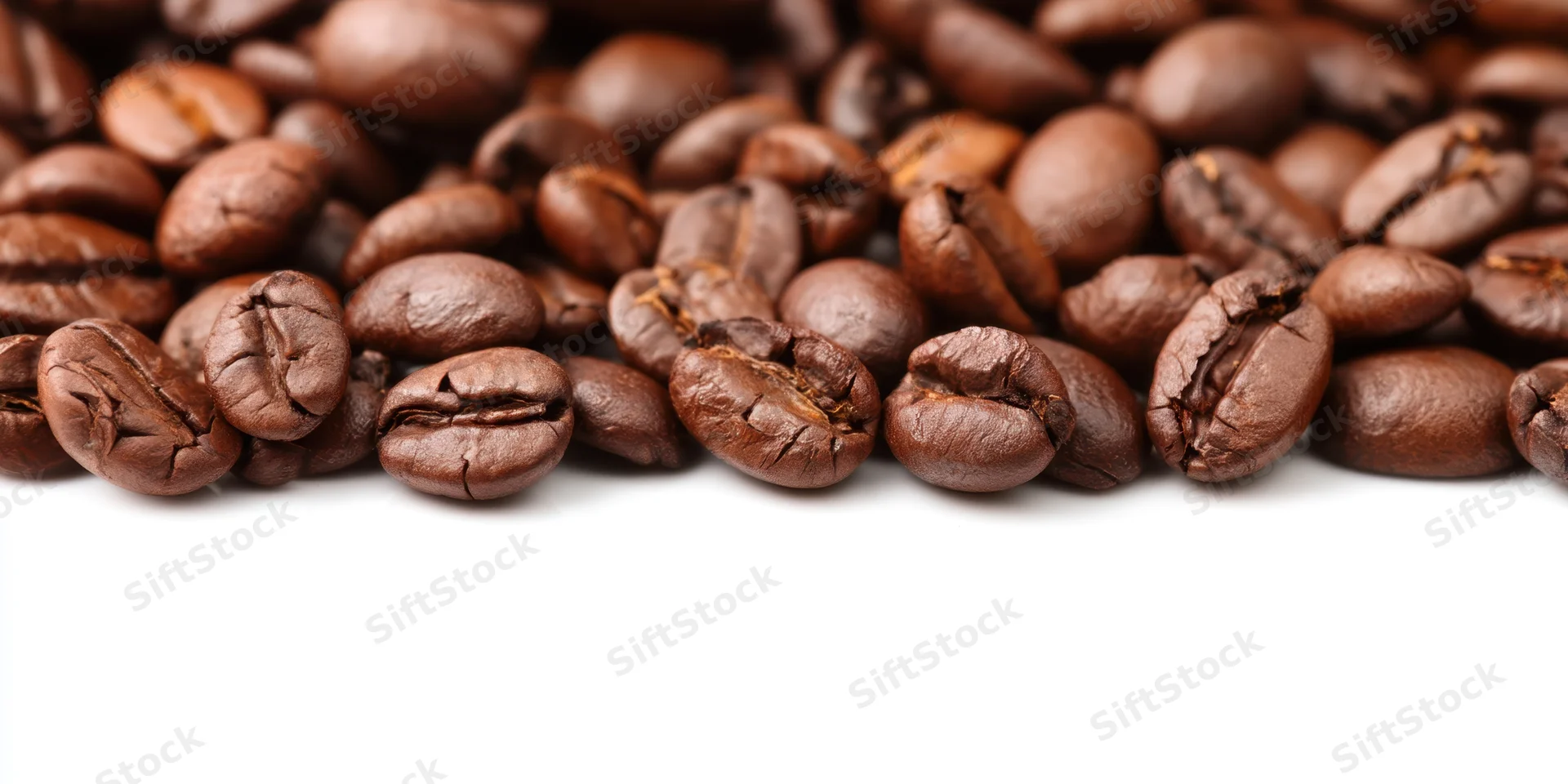 Close-up of roasted coffee beans arranged in a dense row on a white background