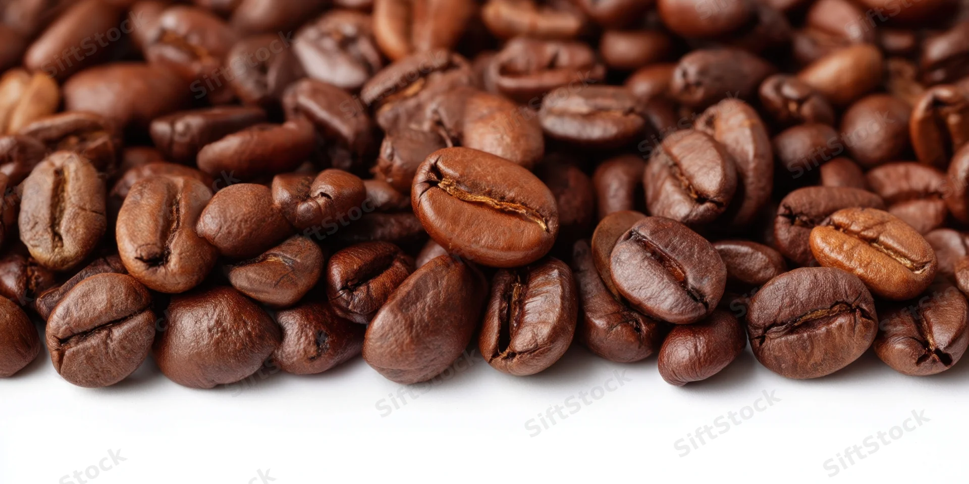 Close-up of roasted coffee beans arranged in a dense row on a white background