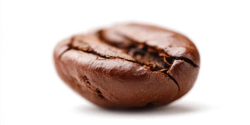 Close-up of a single roasted coffee bean with a prominent crack on a white background