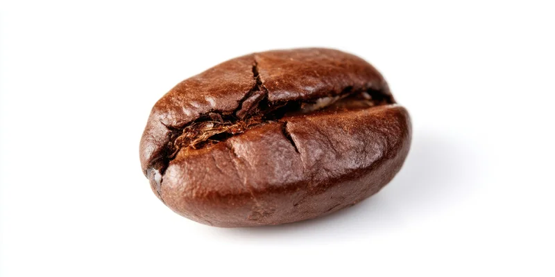 Close-up of a single roasted coffee bean with a prominent crack on a white background