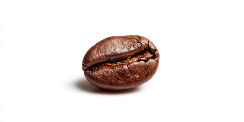 Close-up of a single roasted coffee bean with a prominent crack on a white background