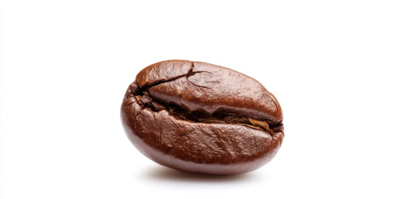 Single roasted coffee bean with prominent crack isolated on white background