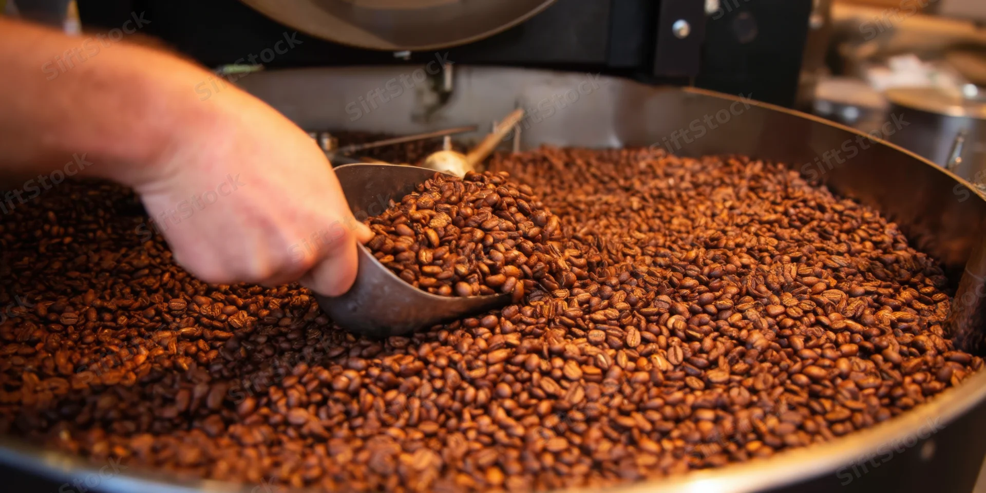 Hand scooping roasted coffee beans from a large industrial roaster