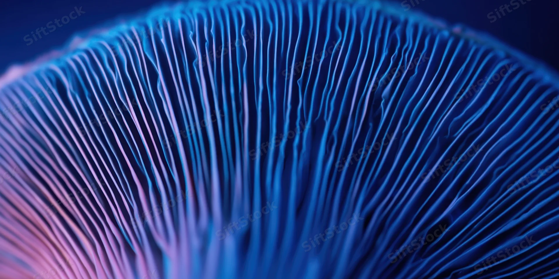 Macro closeup of blue-toned mushroom gills showing intricate texture and pattern
