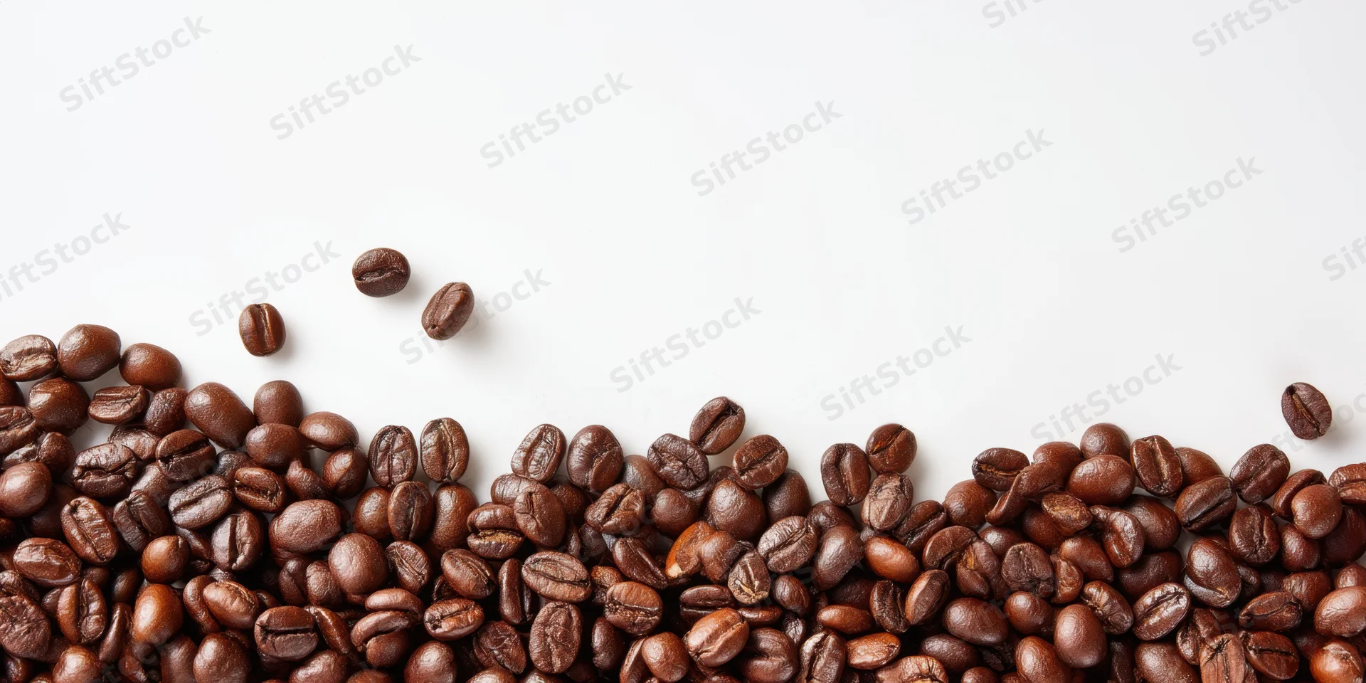 Dark roasted coffee beans arranged in a thick layer along the bottom of a white surface with copyspace above