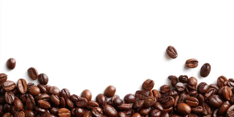 Glossy dark roasted coffee beans arranged along the bottom edge of a white surface