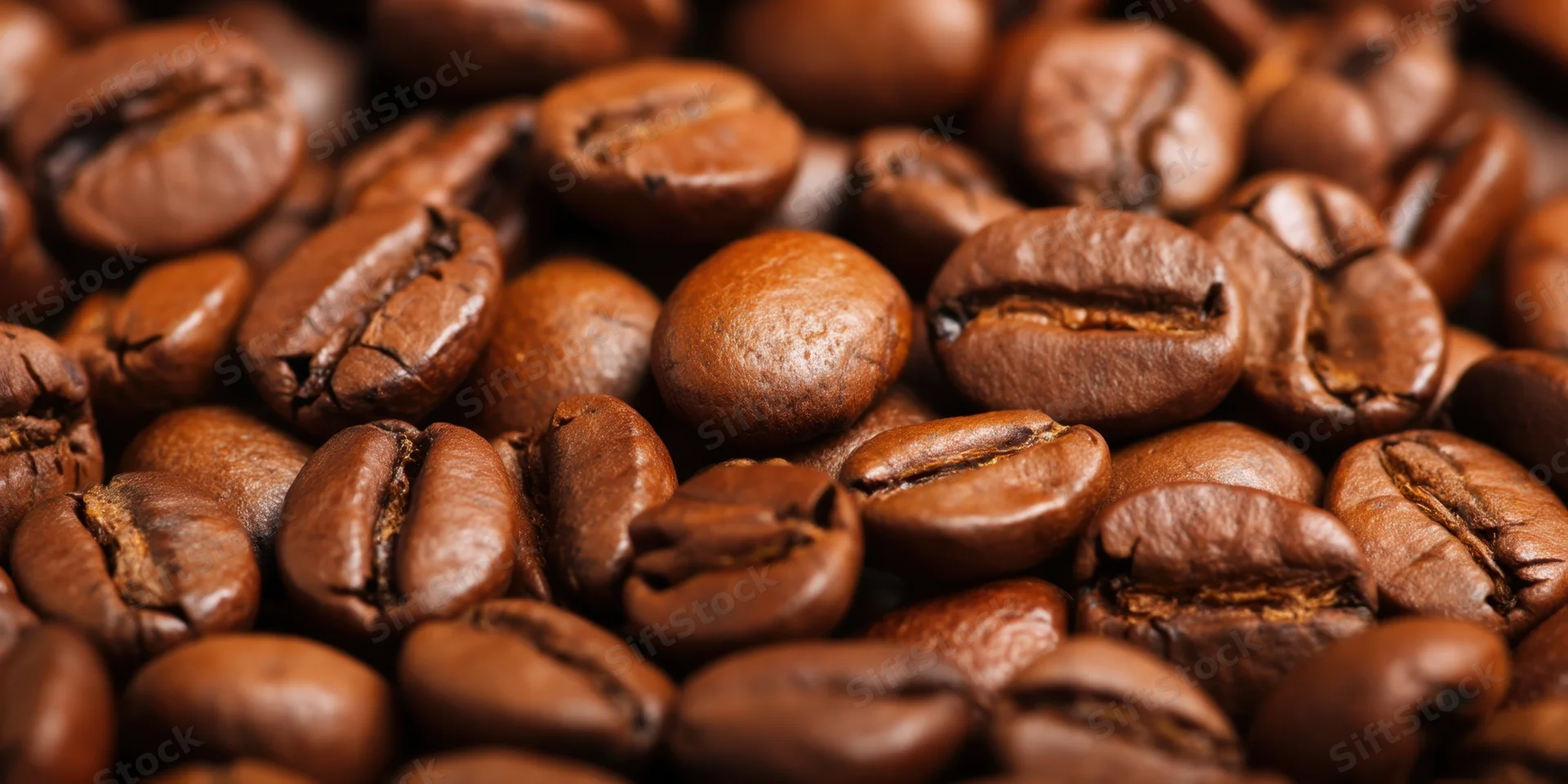 Roasted coffee beans densely scattered across the frame in closeup view