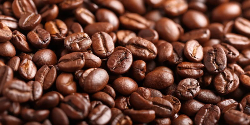 Roasted coffee beans densely scattered across the frame