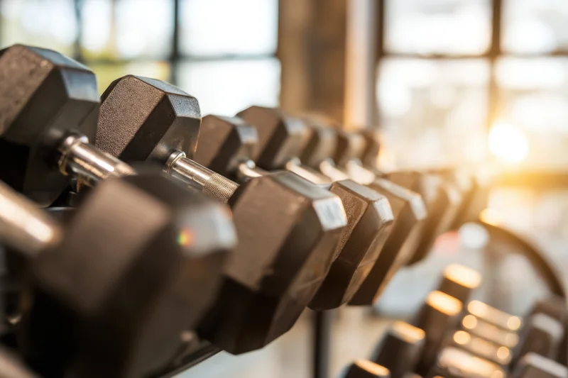 Row of dumbbells on a rack in a modern gym with warm sunlight streaming through windows