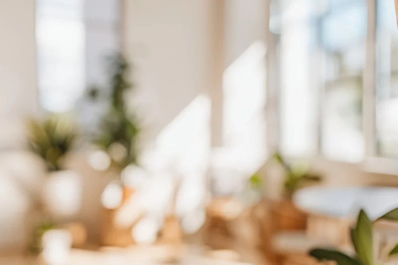 Blurred indoor space with soft natural light and green plants near windows