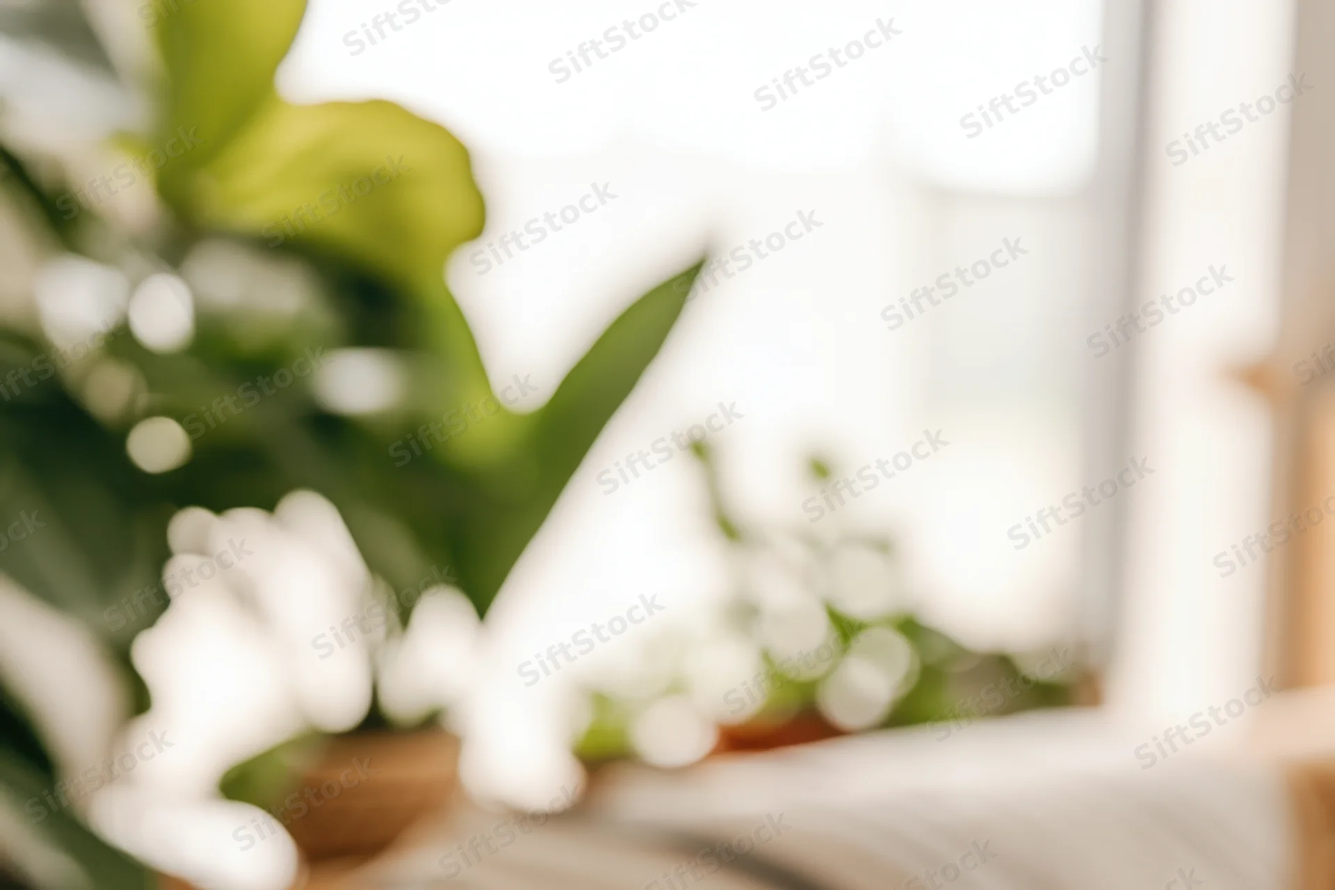 Blurred indoor scene with green foliage and soft natural light near a window