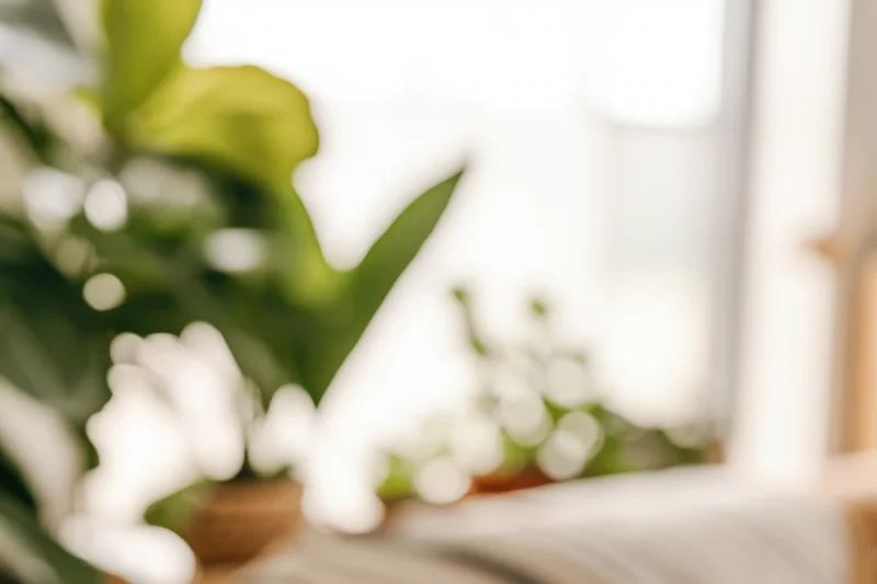 Blurred indoor scene with green foliage and soft natural light near a window