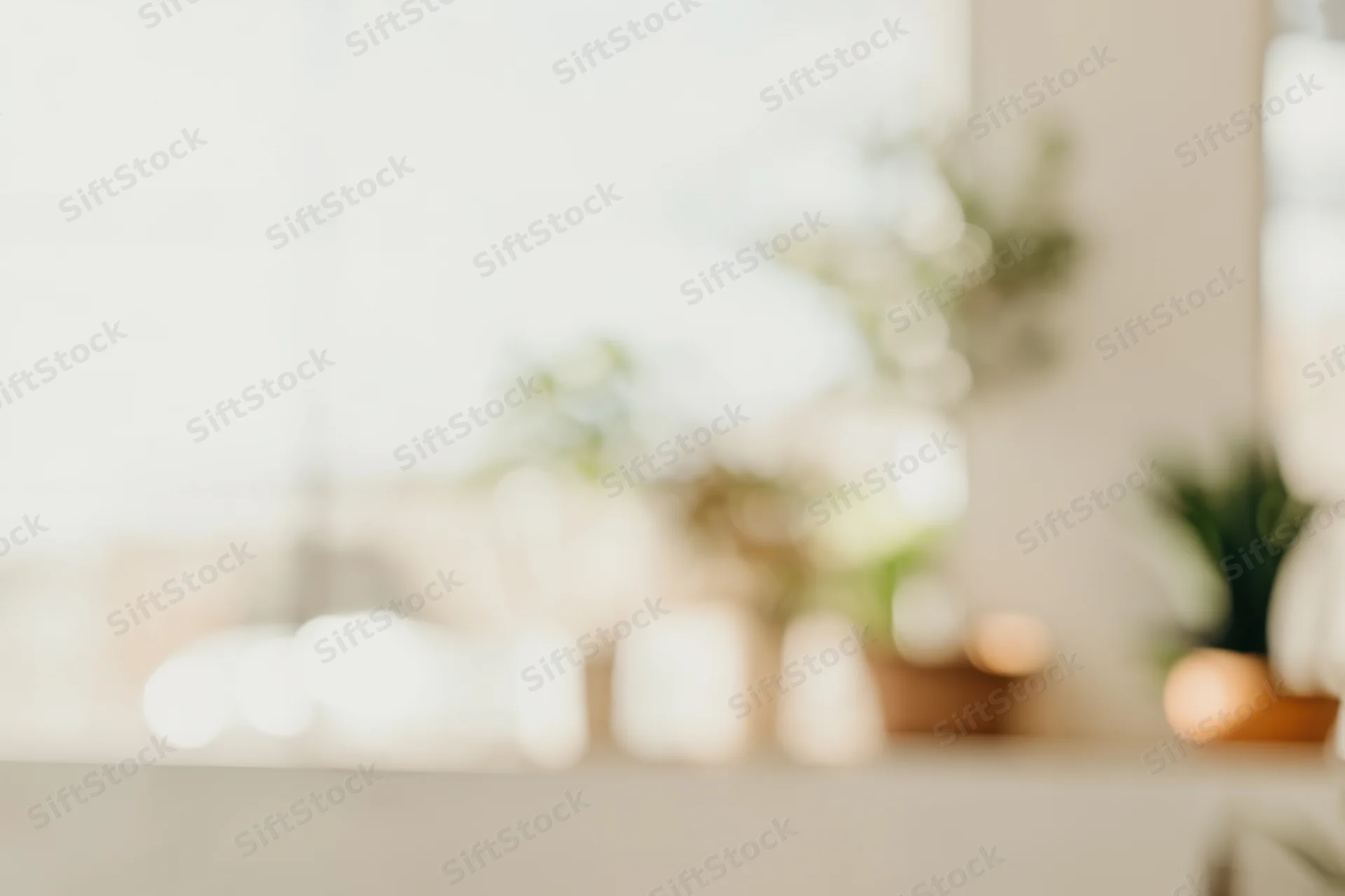 Blurred indoor space with soft natural light and green plants on a shelf
