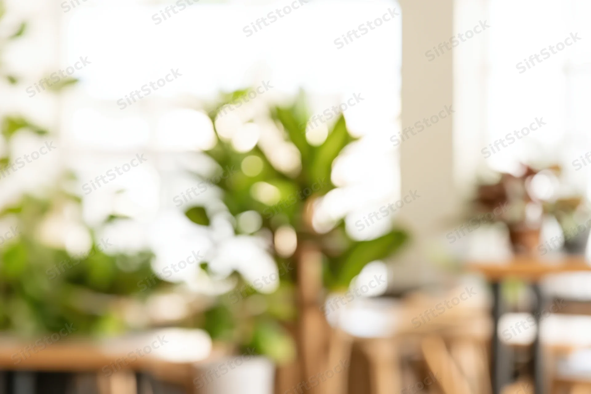 Blurred interior space with green plants and natural light through windows