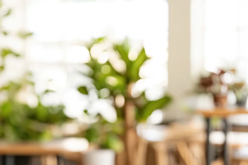 Blurred interior space with green plants and natural light through windows