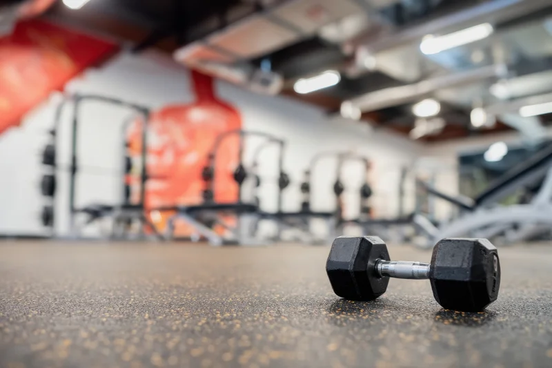 Dumbbell resting on rubber floor in gym interior