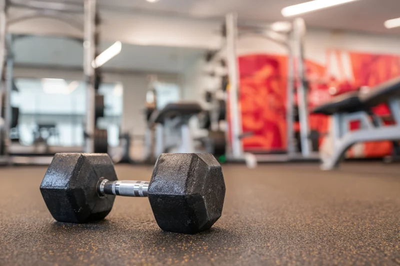 Dumbbell resting on rubber floor in gym interior