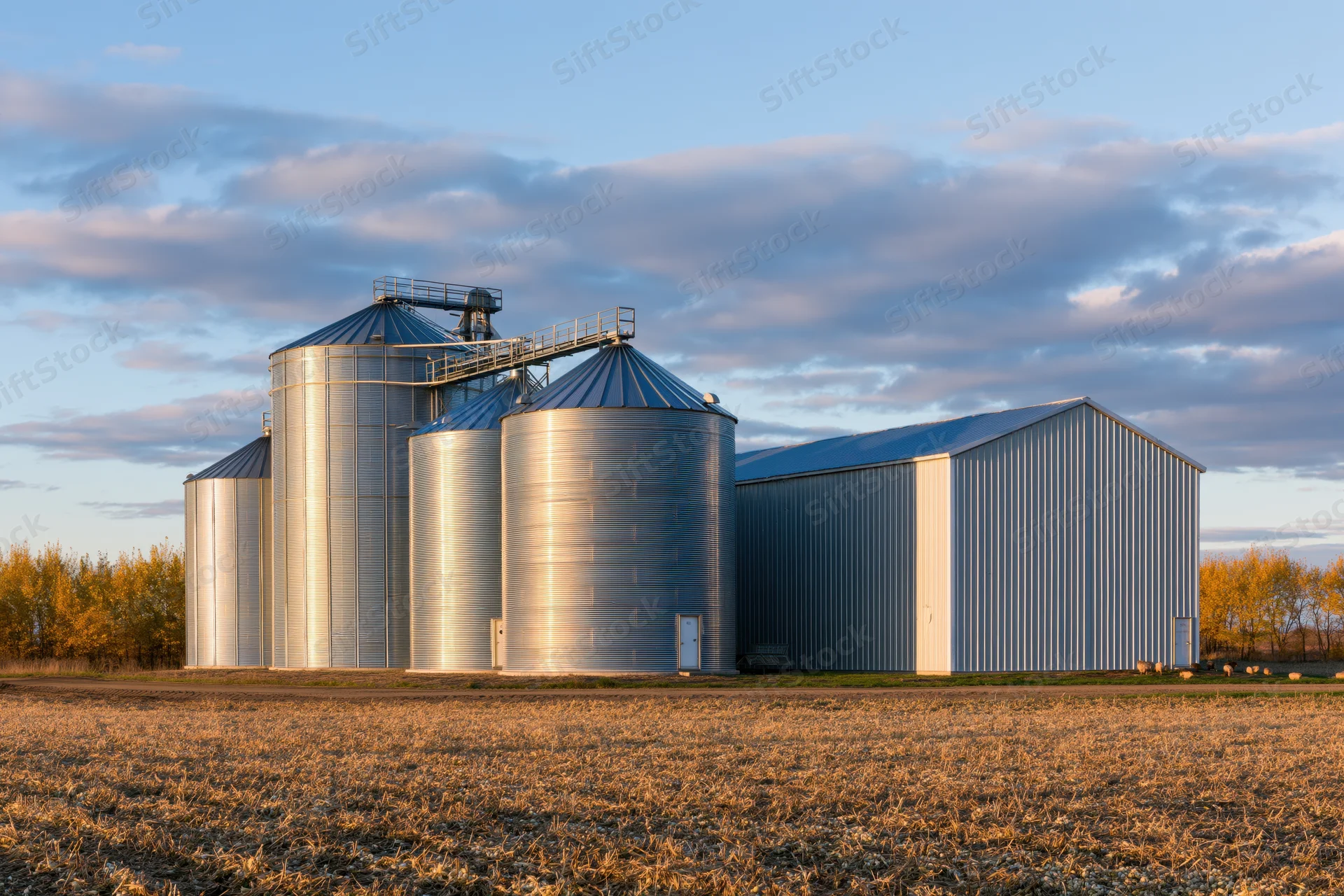 Metal grain silos and corrugated barn in a harvested field under a cloudy sky