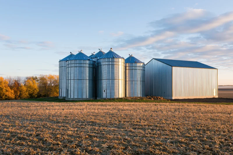 Metal grain silos and a corrugated barn stand in a harvested field at sunset