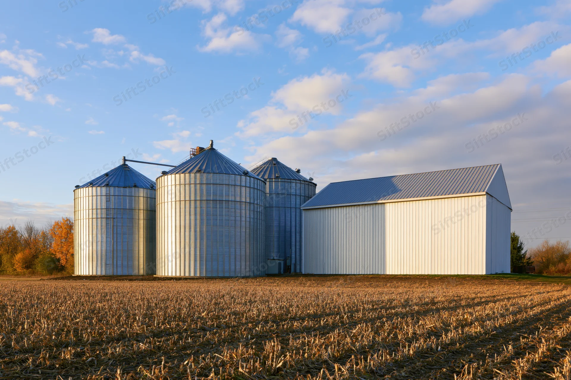 Metal grain silos and a white barn stand in a harvested cornfield under a partly cloudy sky
