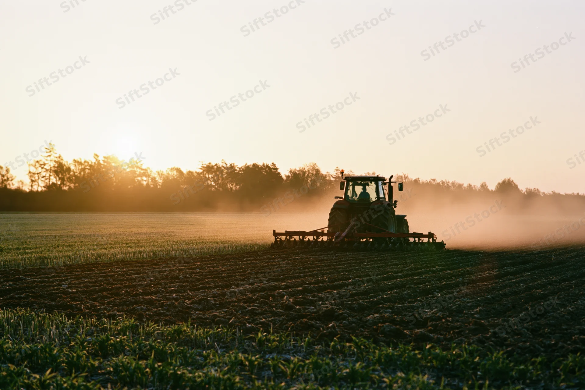 Tractor pulling disc harrow across field at sunset