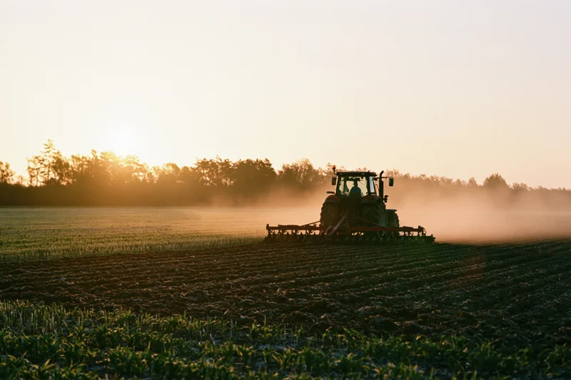 Tractor pulling disc harrow across field at sunset