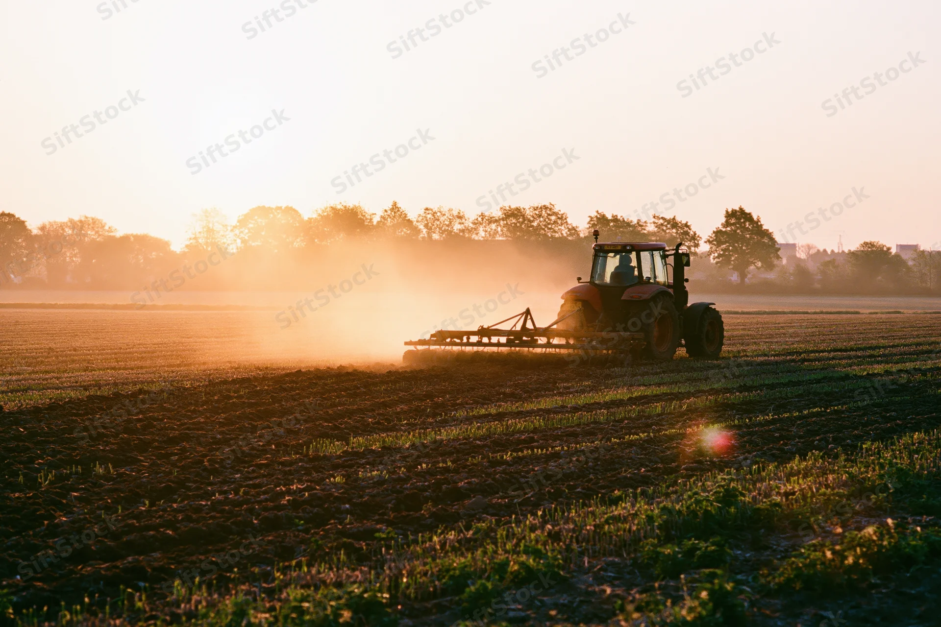 Tractor pulling disc harrow across field at sunset
