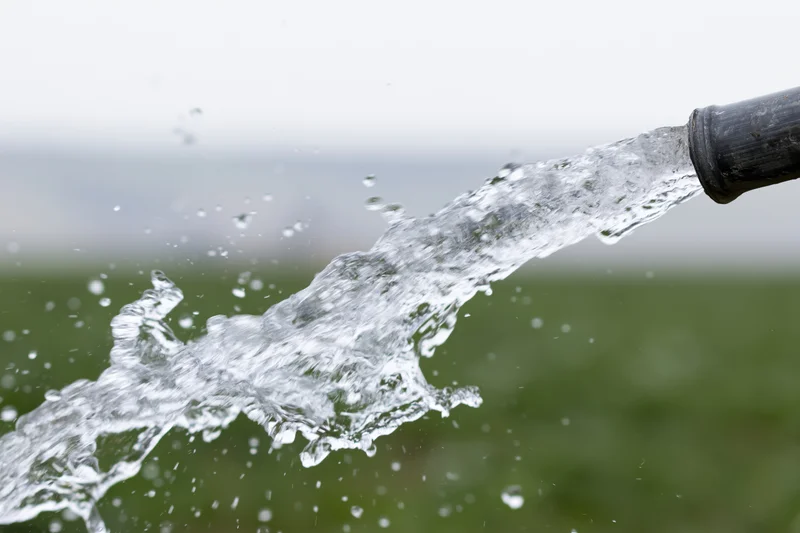 Forceful stream of clear water splashing from a garden hose outdoors