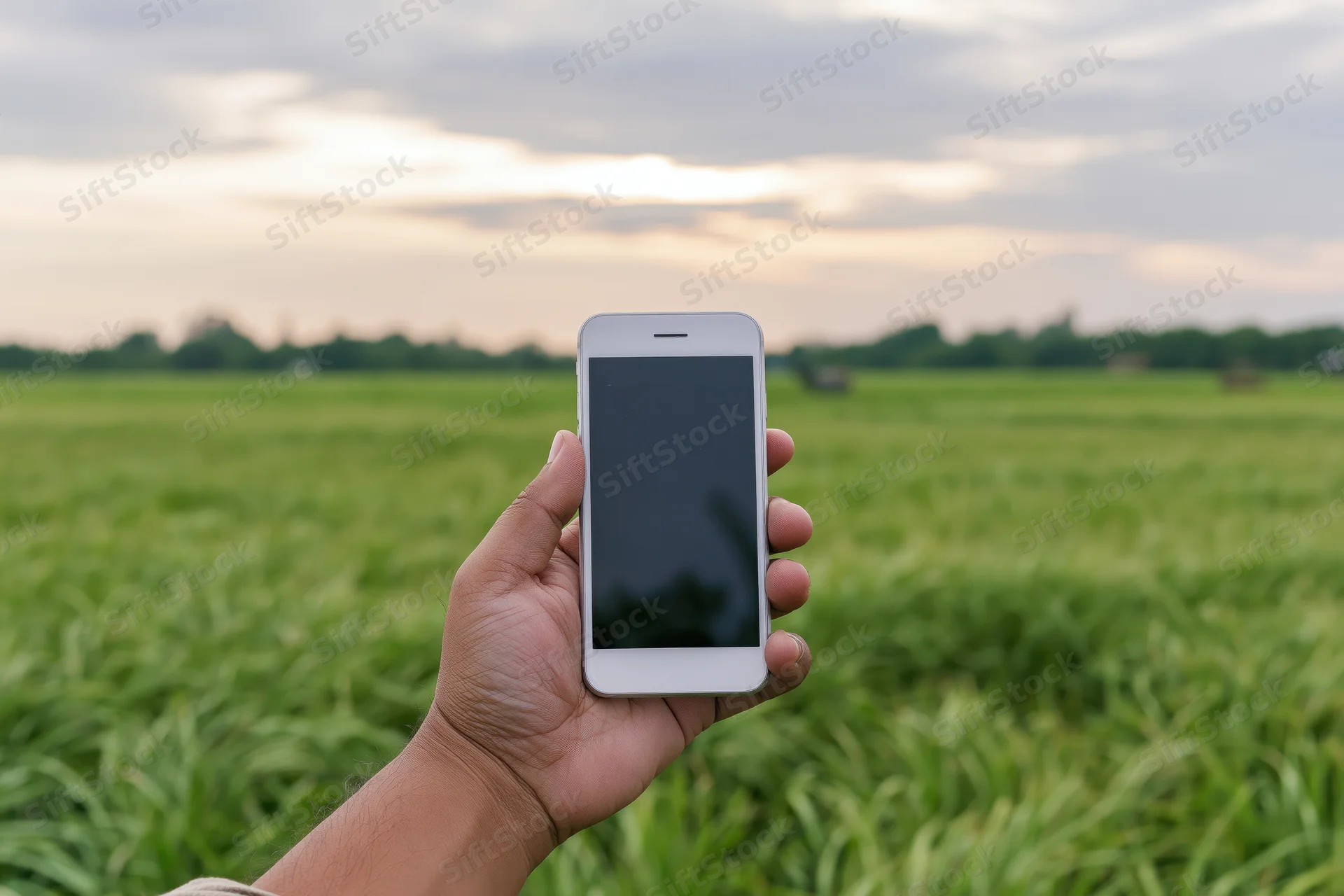 Hand holding white smartphone with blank screen in front of green agricultural field
