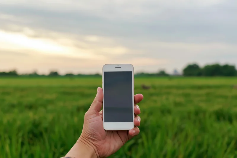 Hand holding white smartphone with blank screen over green field at dusk