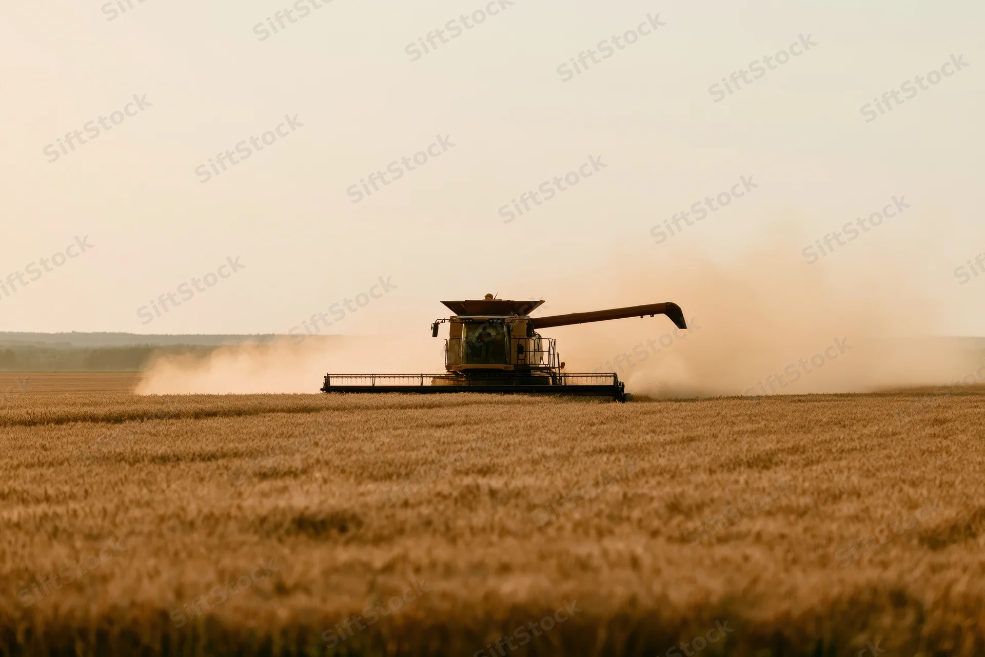 Combine harvester moving through golden wheat field at sunset