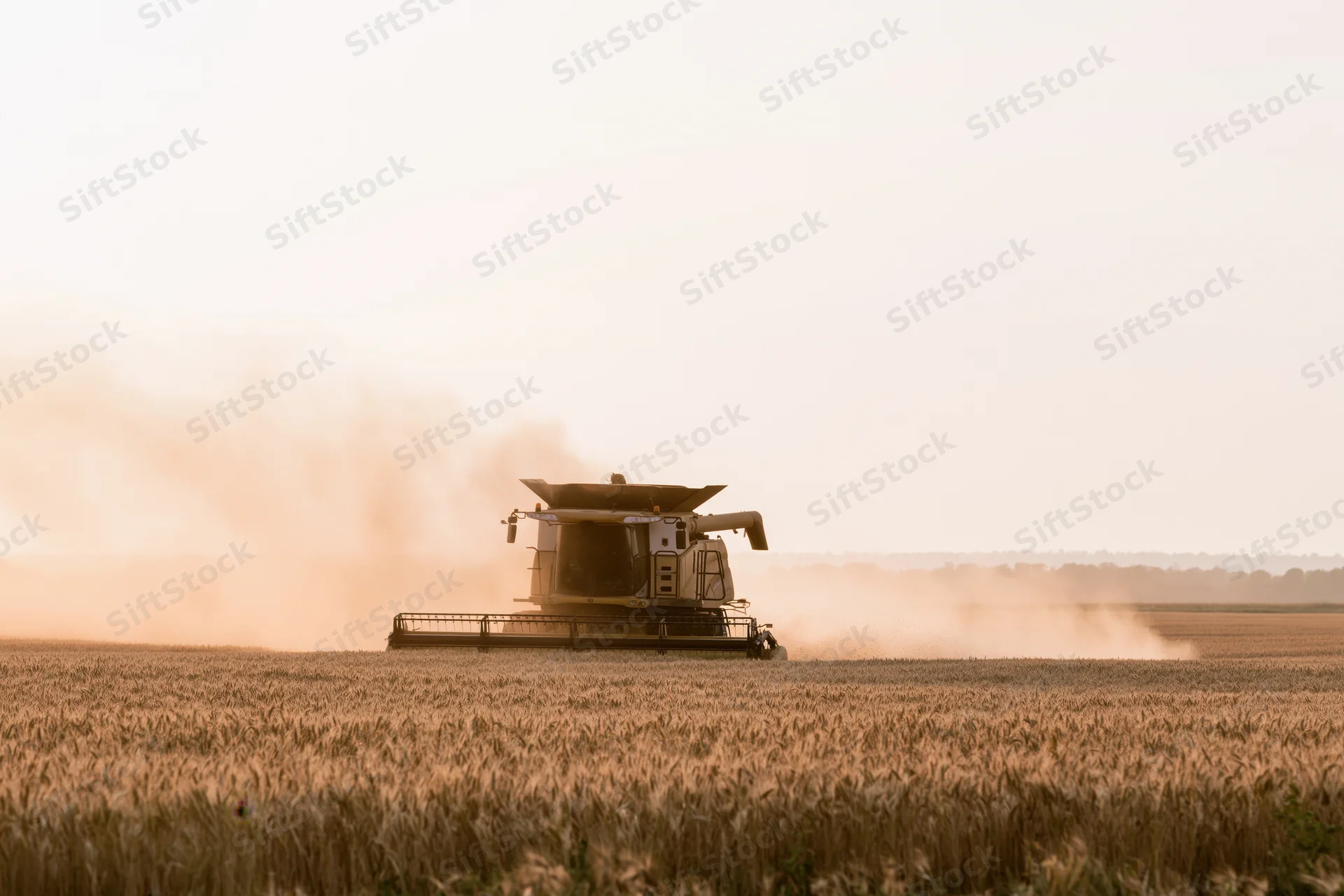 Combine harvester moving through golden wheat field during harvest season
