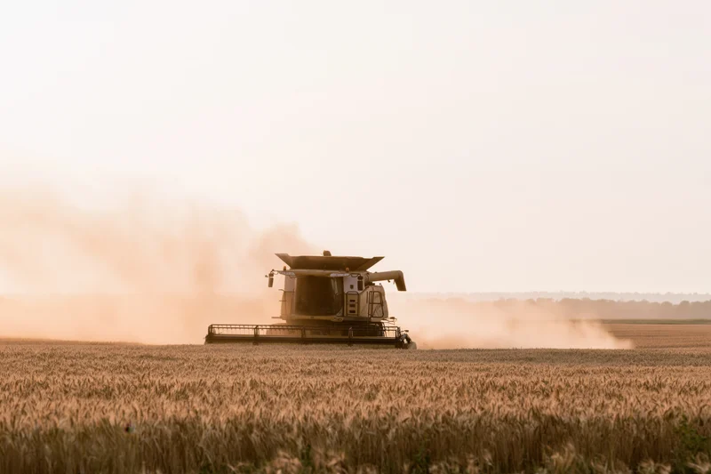 Combine harvester moving through golden wheat field during harvest season
