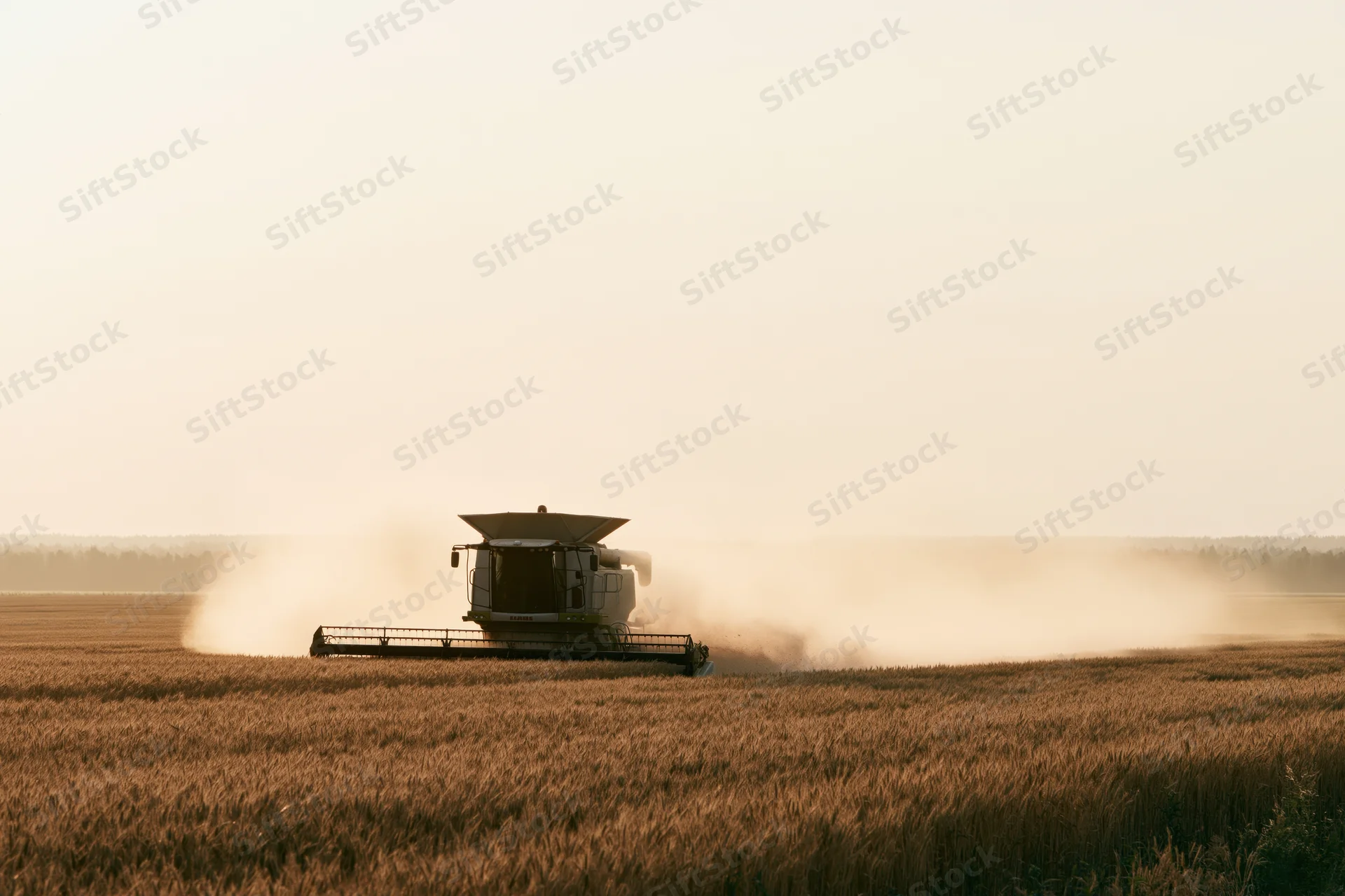 Combine harvester moving through golden wheat field at harvest time