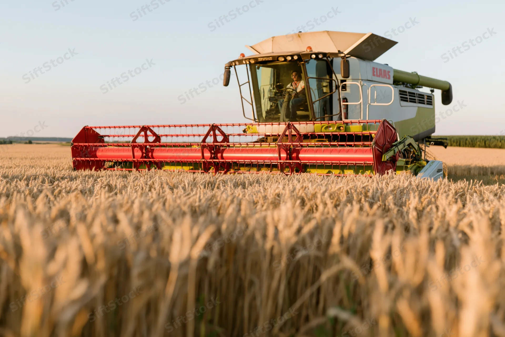 Combine harvester cutting through a wheat field at golden hour