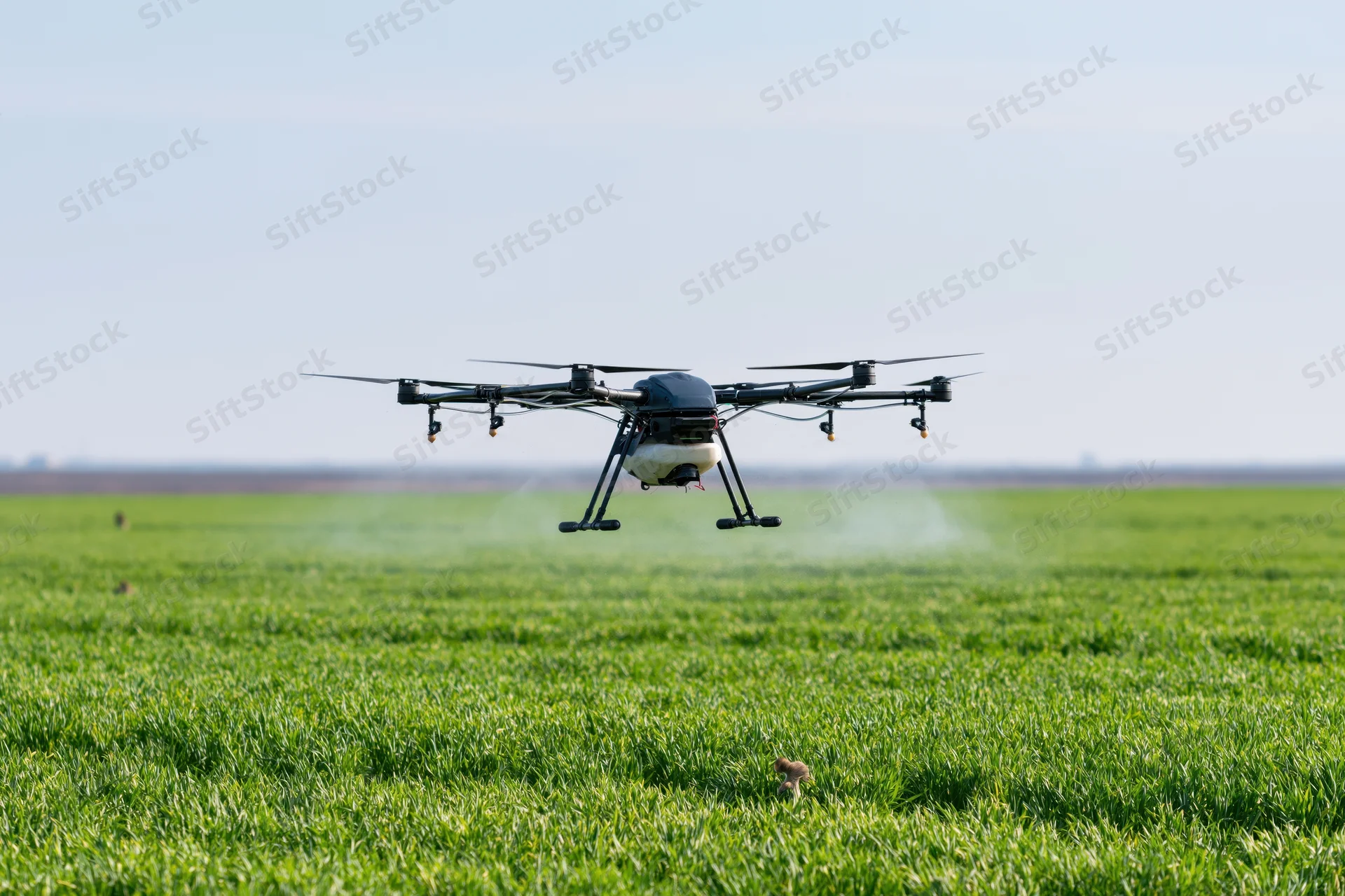 Agricultural drone spraying crops over a green field in daylight