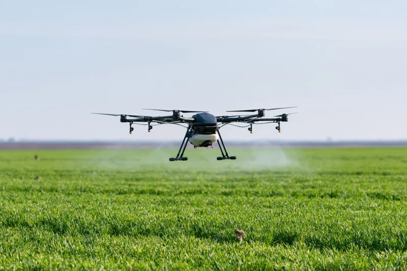 Agricultural drone spraying crops over a green field in daylight