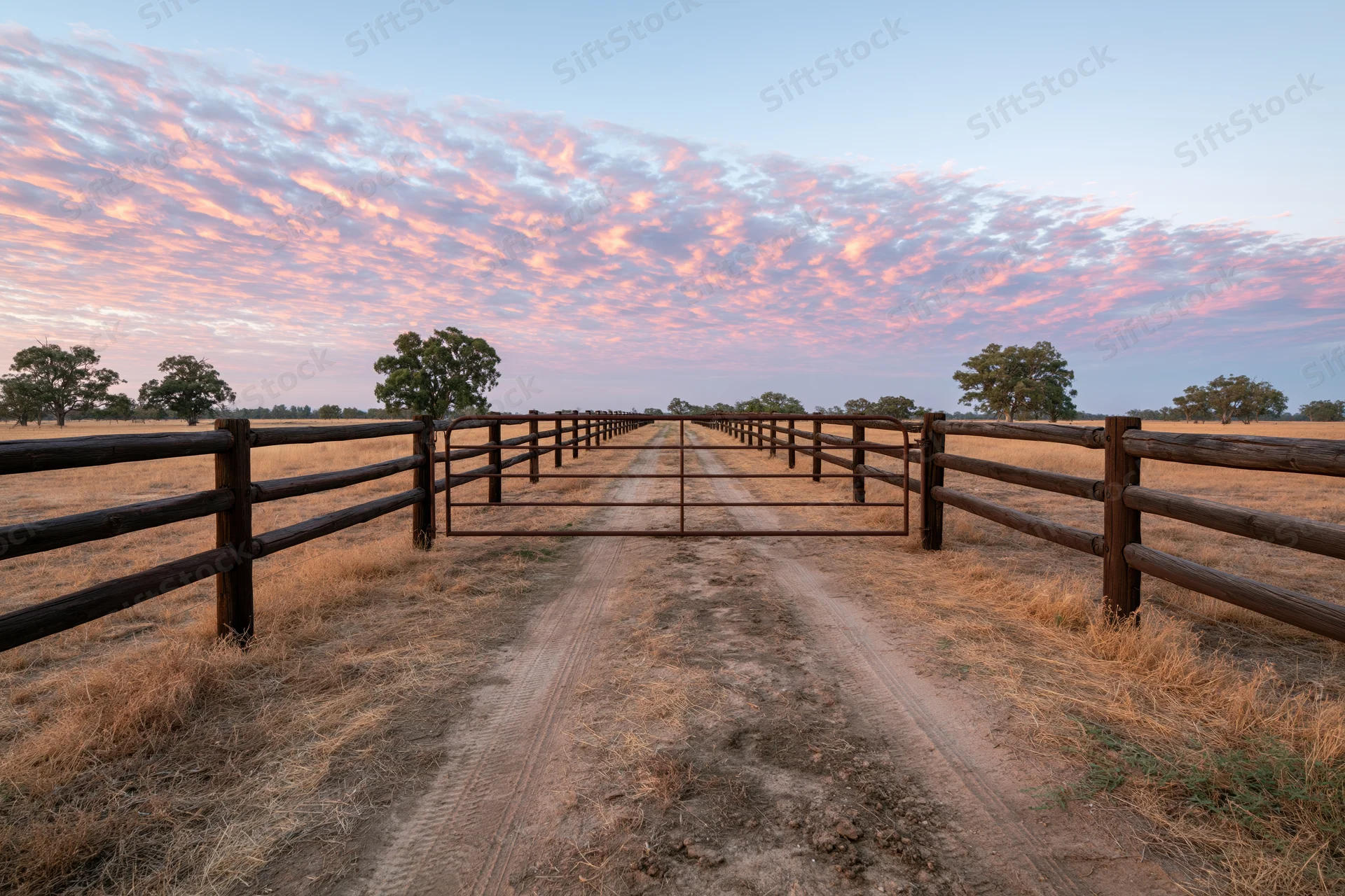 Metal farm gate flanked by dark timber post-and-rail fences along a dirt road in a rural field at sunset