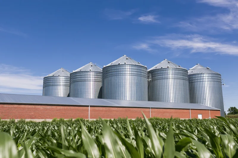 Row of tall silver grain silos behind a red brick building in a cornfield under a blue sky