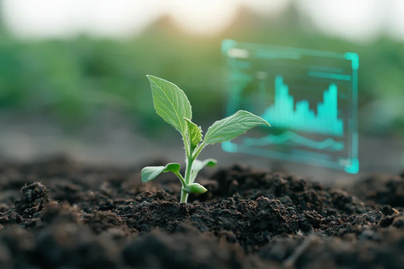 Small green seedling sprouting from dark soil with a digital hologram displaying growth data nearby